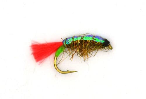 Hot Tag Flashback Mud Shrimp