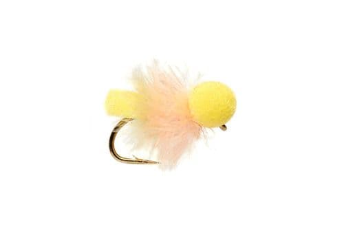 Hybrid Booby Biscuit