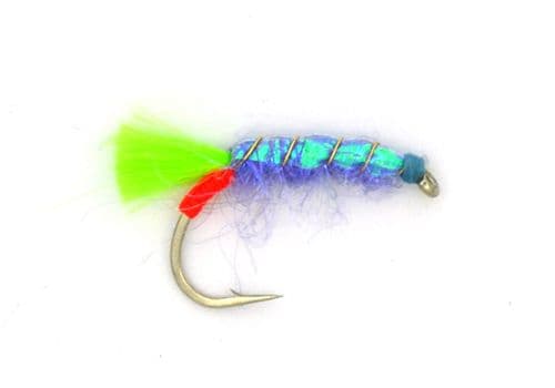 Jaxon's VioleNt Shrimp