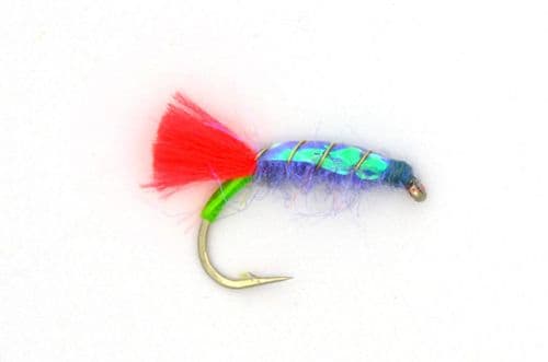 Jaxon's VioleNt Shrimp Red Tag