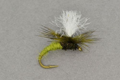 Klinkhamer Olive - PR