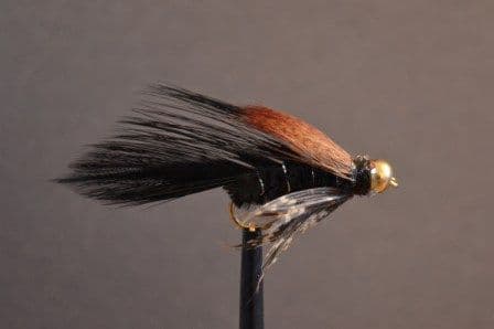 Longshank Goldhead Ace of Spades