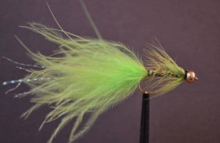 Longshank Goldhead All Lime Dancer