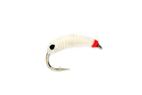 Maggot String Maggot