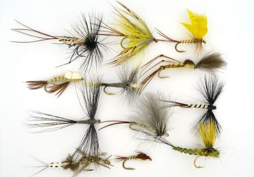 Magical Mayflies Selection