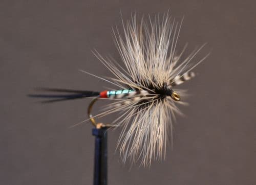 Mirage Spent Male Mayfly