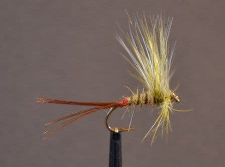 Mosley Mayfly