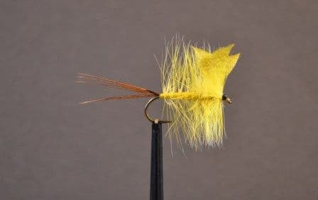 Mouche De Mai Mayfly