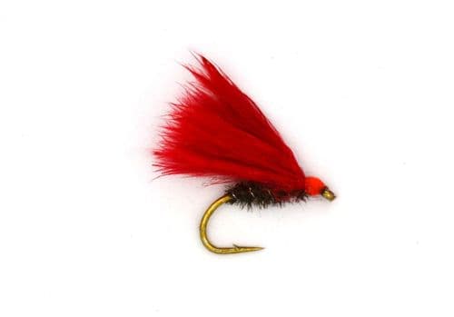 Mullet Cormy