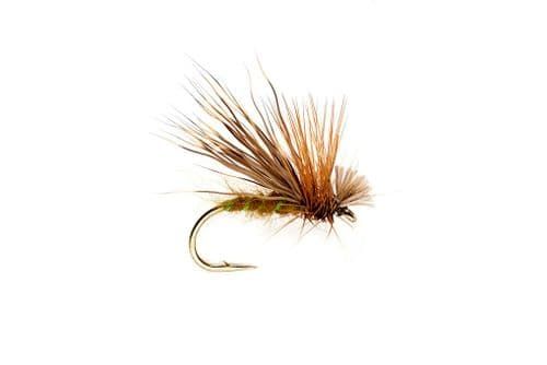 Olive Drop Sedge