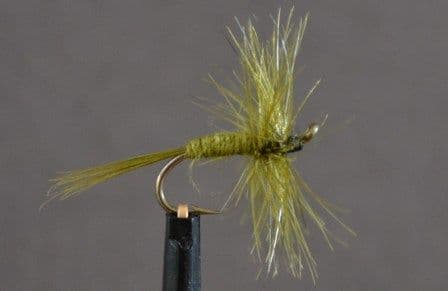Olive Dun Winged