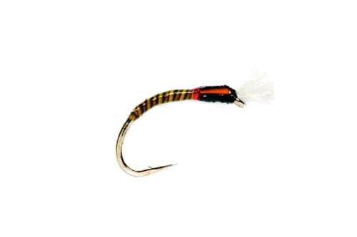 Olive Quill SH Buzzer