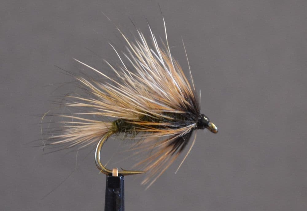 Olive Sedgehog - PR