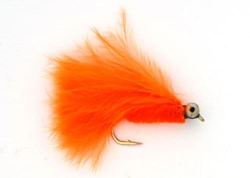 Orange Cats Whisker