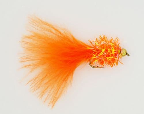 Orange Fritz Goldhead