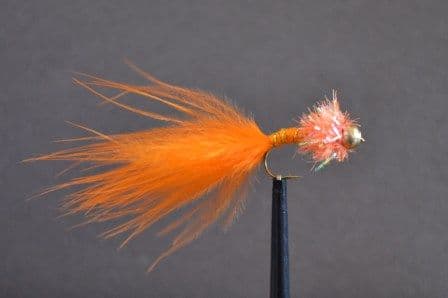 Orange Fritz Goldhead Nobbler