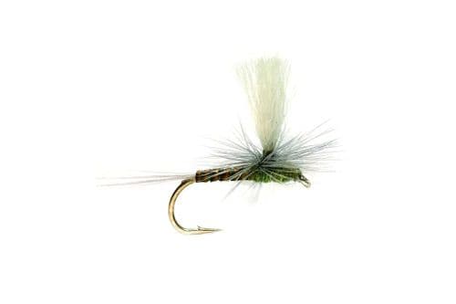 Paradun Quill Olive