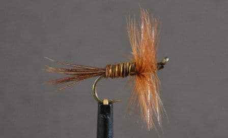 Pheasant Tail - OR