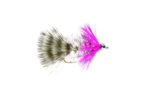 Polarmagnus Single