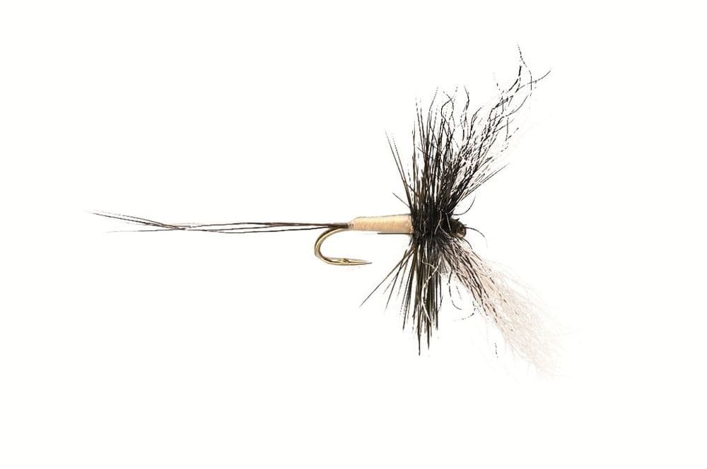 Poly Spinner Goddard