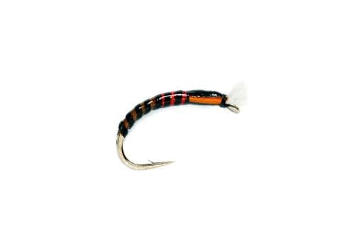 Red Neck Black Buzzer