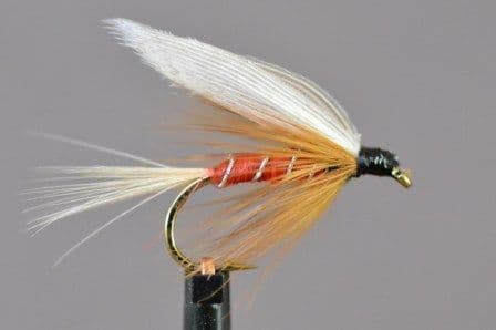 Red Spinner