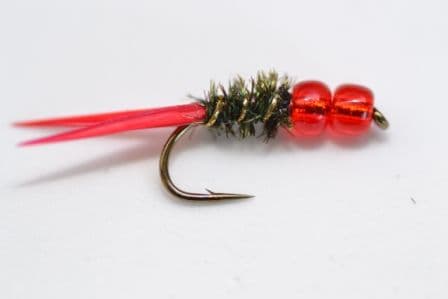Red Tagged Diawl Bach