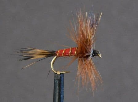 Red Wulff - OR