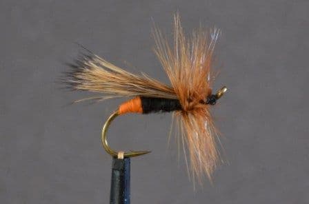 Richard Walker Sedge