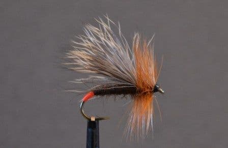 Richard Walker Sedge - PR