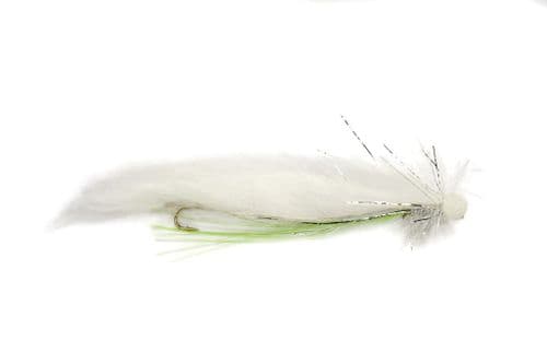 Rob's Cat Snake Booby