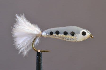 Samen Par Salmon Parr