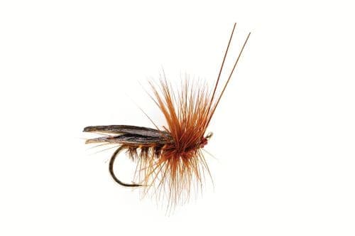 Saville Super Dark Brown Sedge