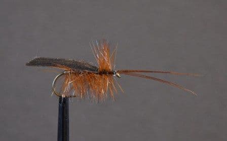 Silver Horned Sedge - PR