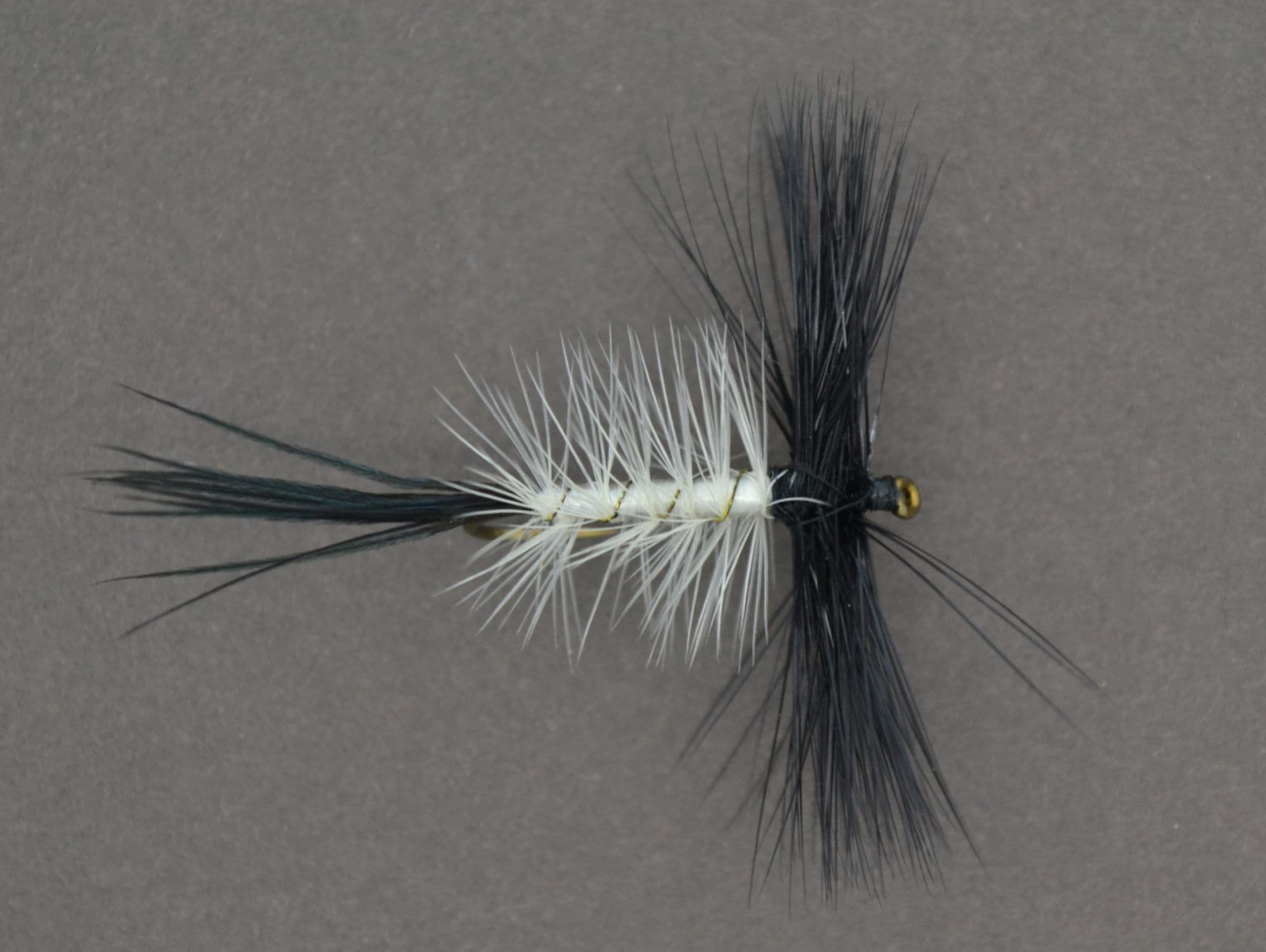 Drake Mayfly Spent Black Drake Mayfly