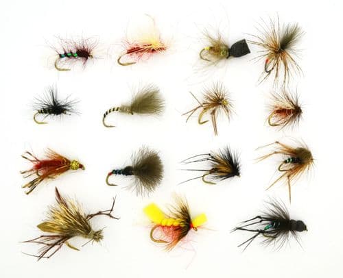 Stillwater Dries & Emergers