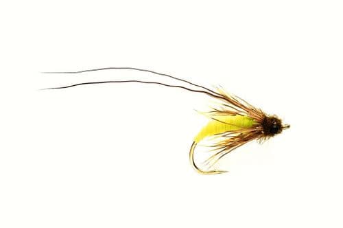 Struggling Green Sedge