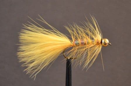 Yellow Dancer Fly Pattern Sunburst Yellow Dancer