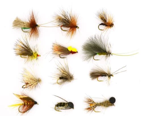 Super Sedges