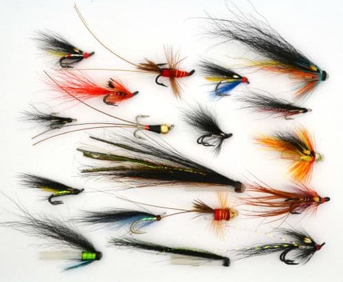 Top Performer Low Water Salmon Selection