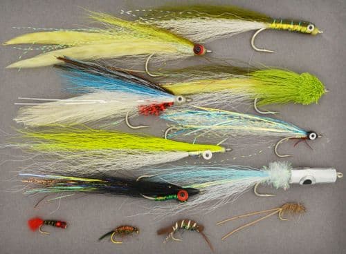 UK Saltwater Starter Selection