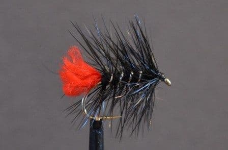 Zulu Black