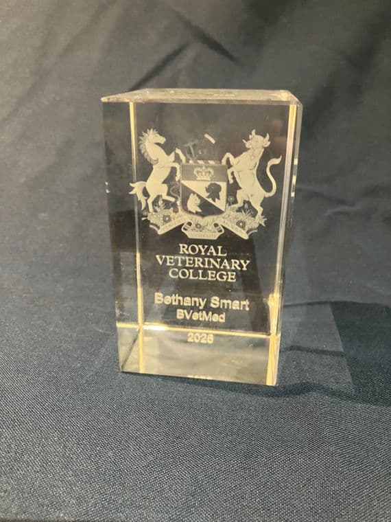 RVC Glass Paperweights