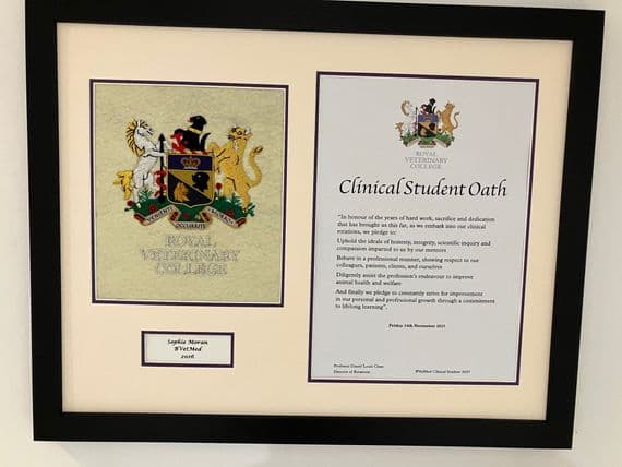 RVC Hand-embroidered Degree Certificate Frame