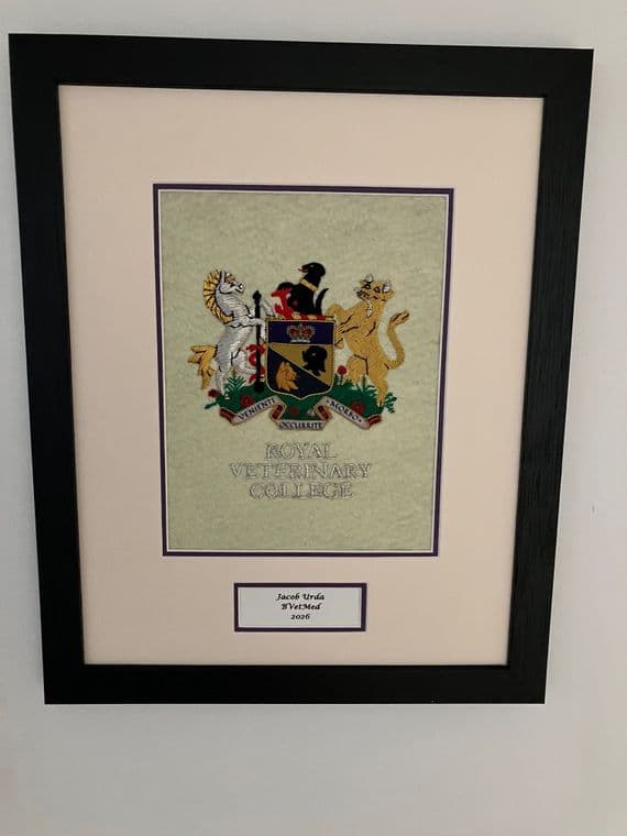 RVC Hand-embroidered Wall Plaque