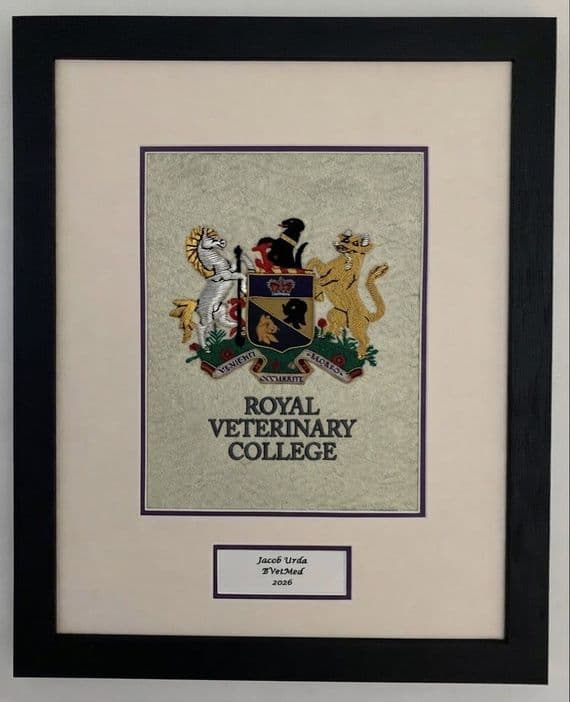 RVC Hand-embroidered Wall Plaque