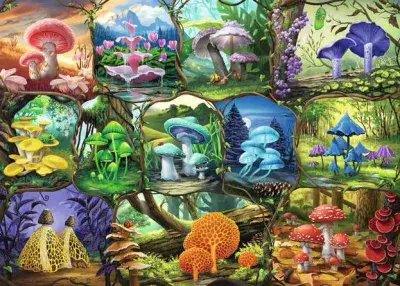 Beautiful Mushrooms. 1,000 piece Ravensburger jigsaw.