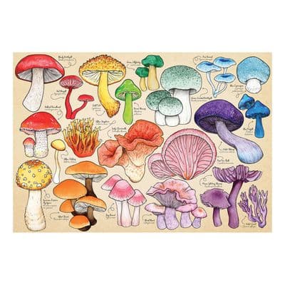 Mushroom Mania.  1,000 piece HOP jigsaw puzzle.