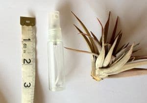 BOTTLE ONLY 10ml spray bottle- Free Post