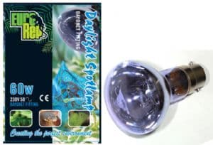 Eurorep Daylight Spotlamp, 100W BC